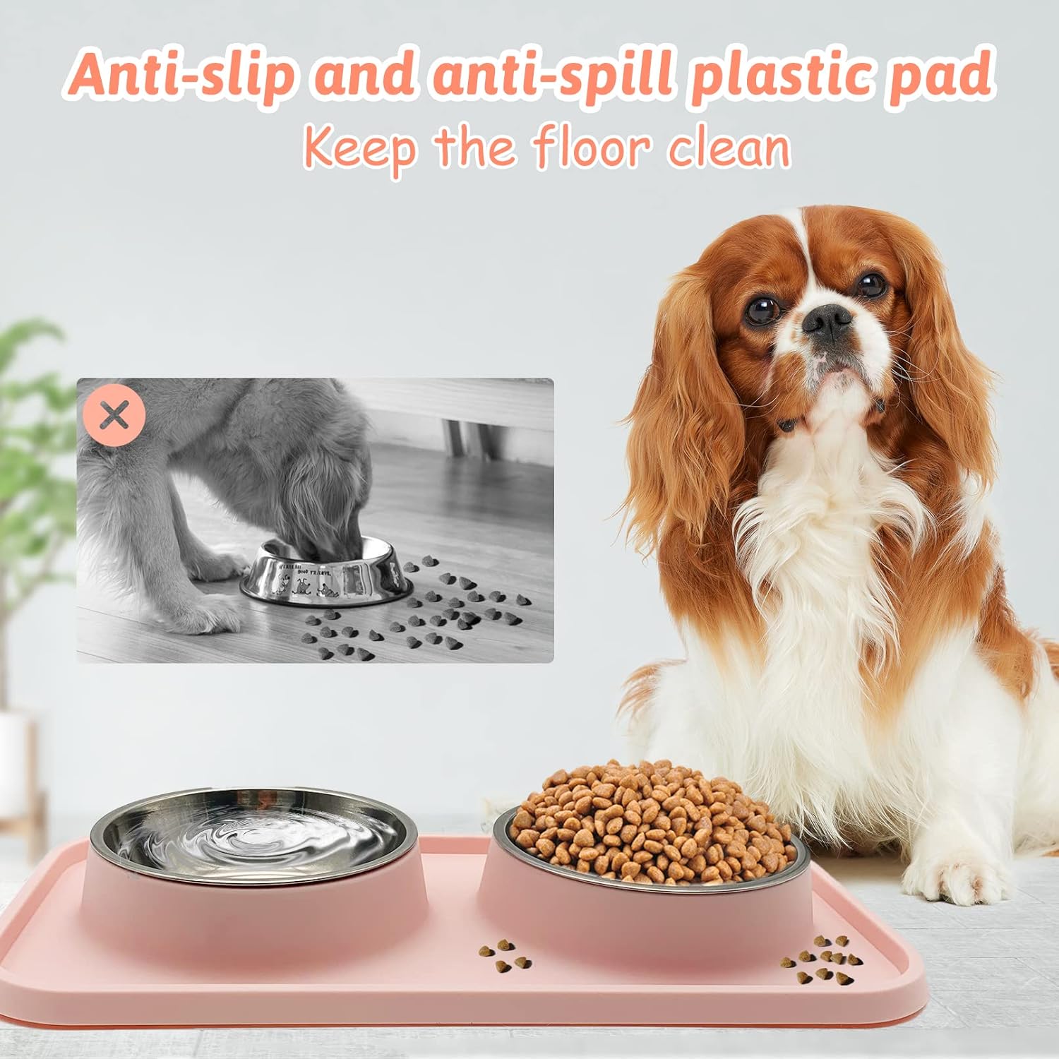 Elevate Mealtime: BNOSDM Double Dog Food Bowls With Non-Spill Mat Review