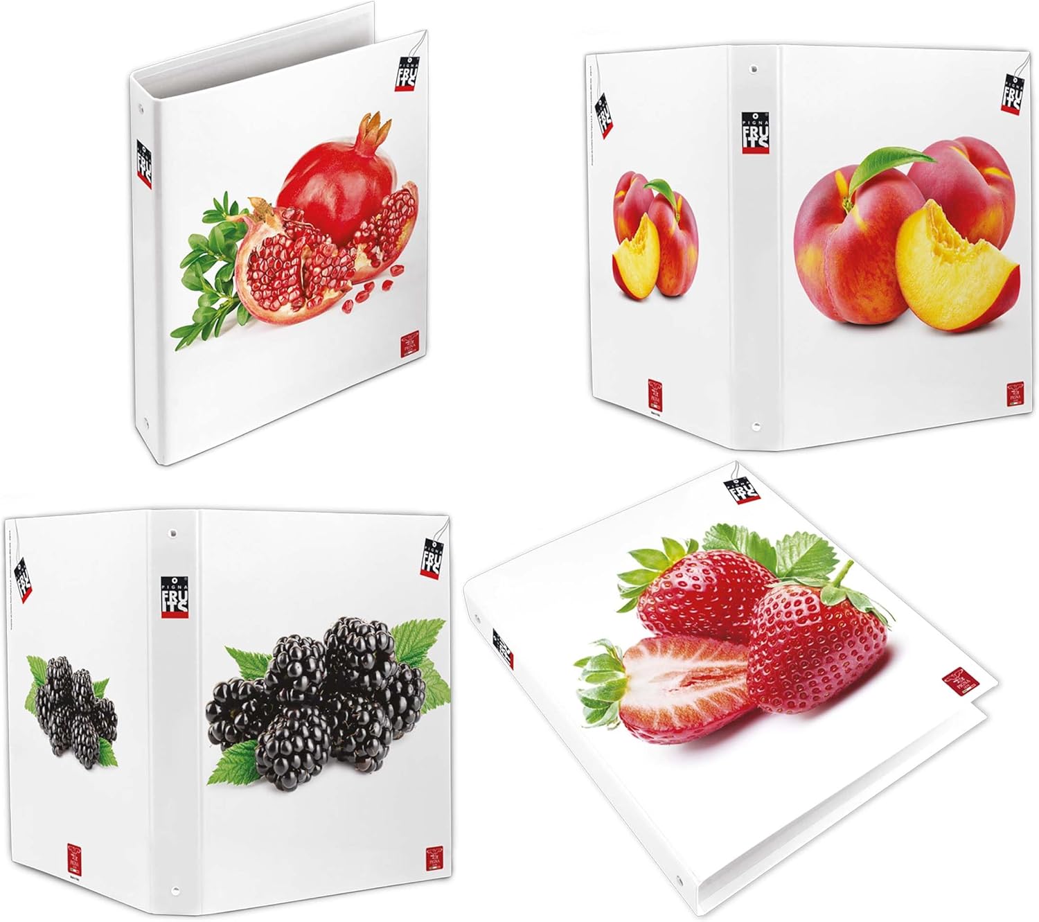 Pigna 023207630 Fruit Ring Folder, Pack of 5