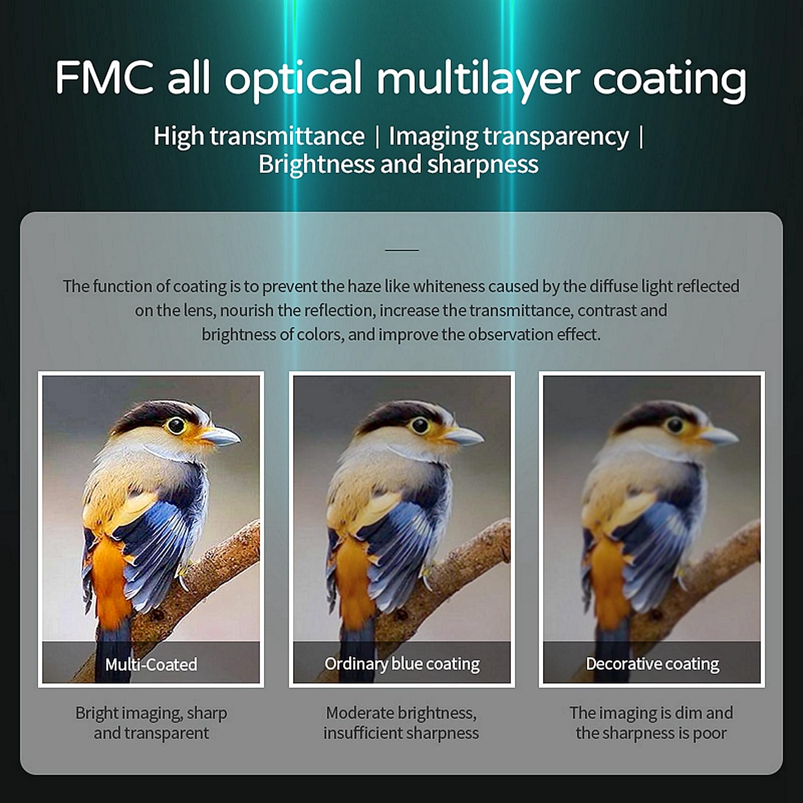 Binocolo 10x25, Binocolo Professionale, con Prisma BaK4 e Lente FMC, Alta potenza Binocolos Compatto,per Birdwatching, Escursionismo, Caccia, Visite, Teatro