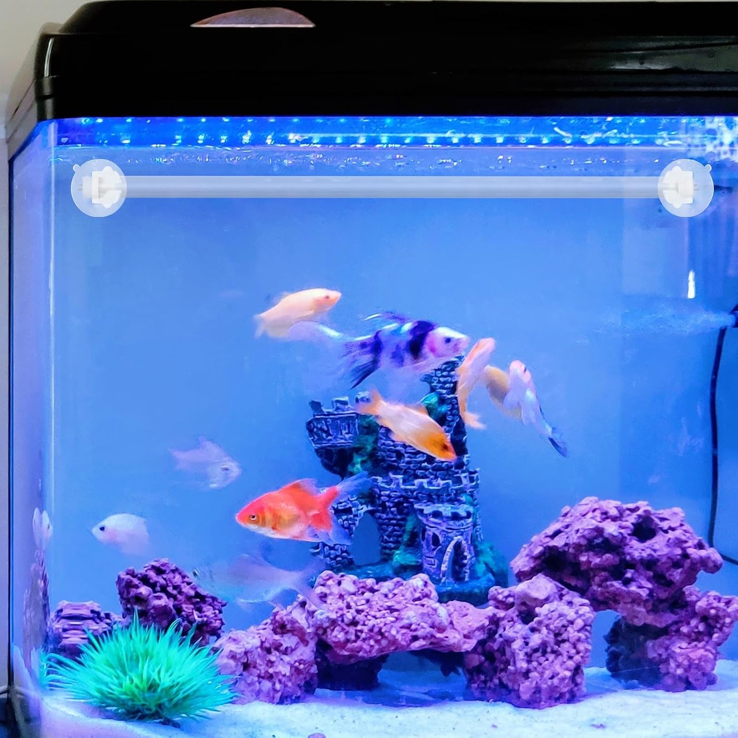 6pcs Aquarium Light Holder Silicone Bracket for Fish Tank Lamp Support
