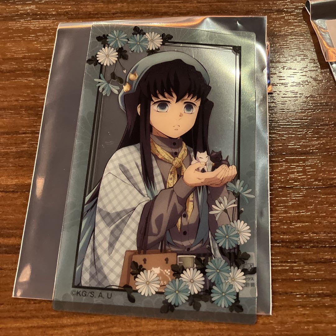 鬼滅の刃　in　ナンジャタウン　〜いこいの里巡り〜　時透無一郎 71DLao38MTL._UF350,350_QL50_.jpg