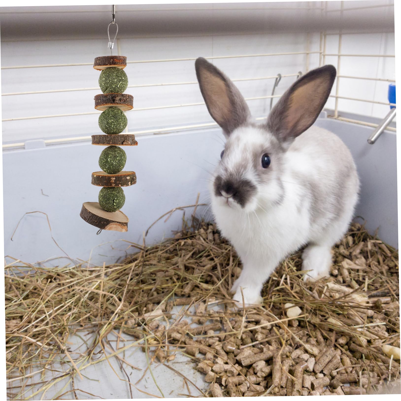 Kisangel 6stücke Holzspielzeug Für Haustiere Apfelholz Kaubälle Für Hamster Und Kaninchen Interaktives Kauspielzeug Für Kleine Nager Zur Zahnpflege Und Beschäftigung