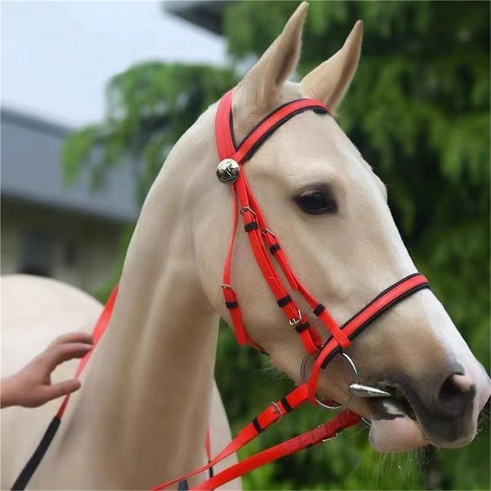 Cavezza Per Cavallo Collare for testa di cavallo in PVC Halter Cavalli da corsa Attrezzatura equestre(Blue)