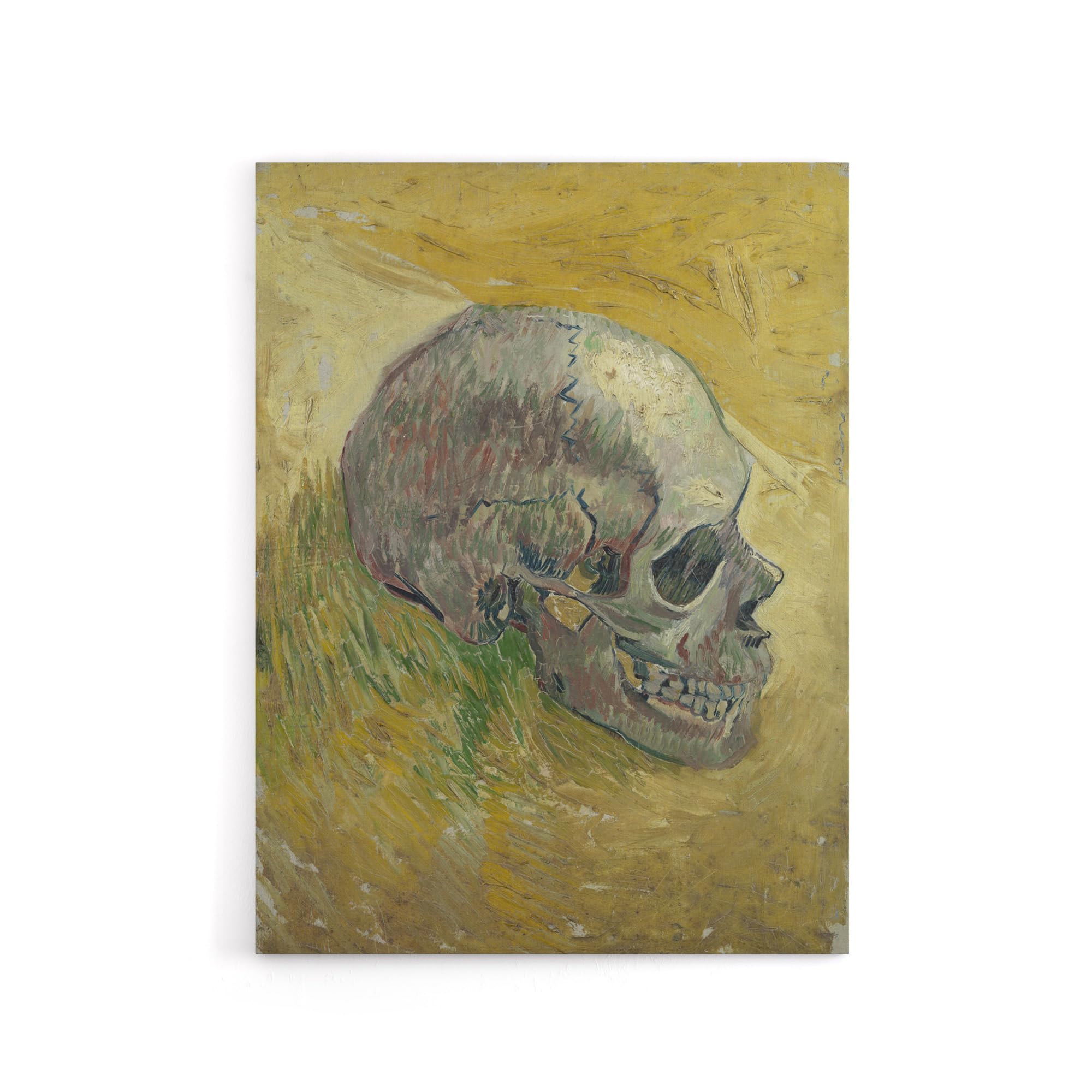 Artery8 Human Skull Study in Yellow Canvas Wall Art Print 12X16 Artwork By Van Gogh : Vintage Skull Study Ideal For Study Or Classroom Offering Artistic Depth And Anatomical Interest