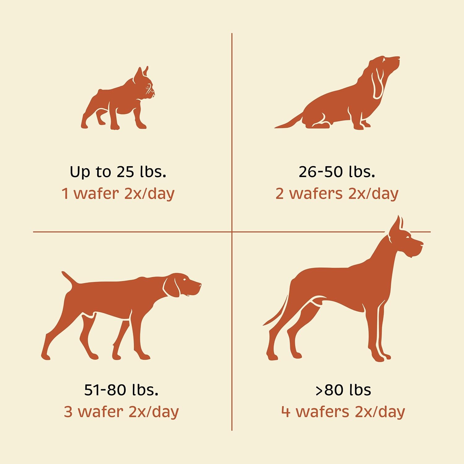 Spirited Paw Joint + Mobility - Joint Support & Comfortable Mobility for Dogs - Beet Root, Turmeric Extract & Ginger - Includes Antioxidants and Vitamins C & E - 100 Chewable Wafers