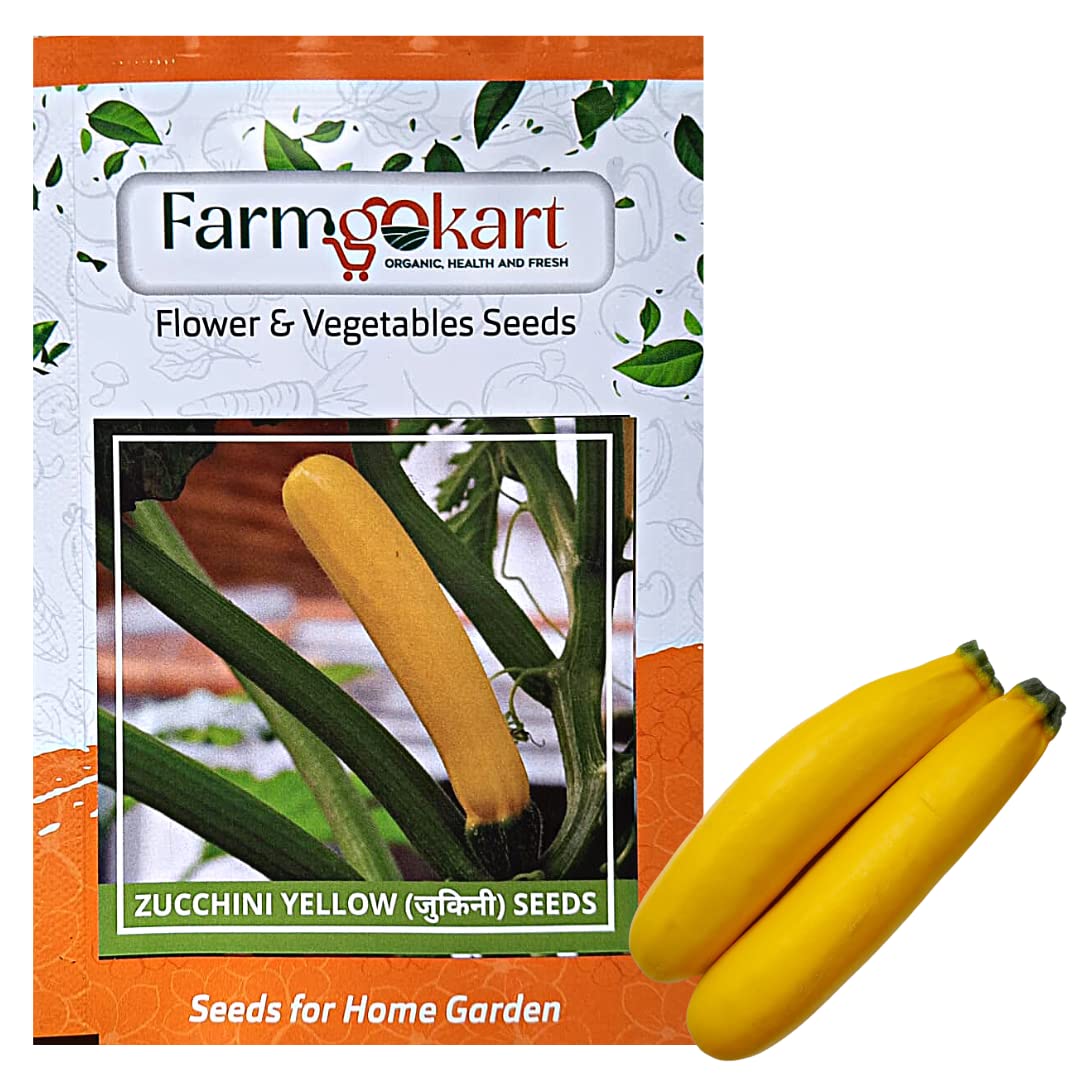 Farmgokart |Pack of 15 Nos | ZUCCHINI -YELLOW -SUMMER SQUASH SEED| Best Suitable For Terrace And Home Gardening |Quality Exotic vegetable Seeds| (B09MZZK2SH) Amazon Price History, Amazon Price Tracker
