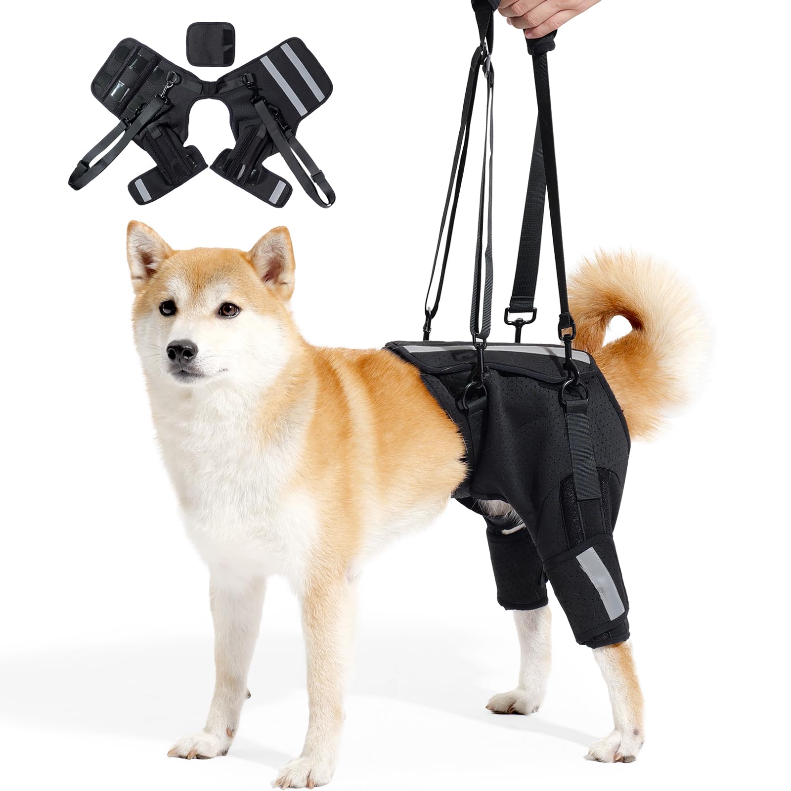 Arnés de elevación para perros, soporte de cadera para displasia de cadera, arnés de soporte para mascotas para patas traseras para perros pequeños y medianos, talla M