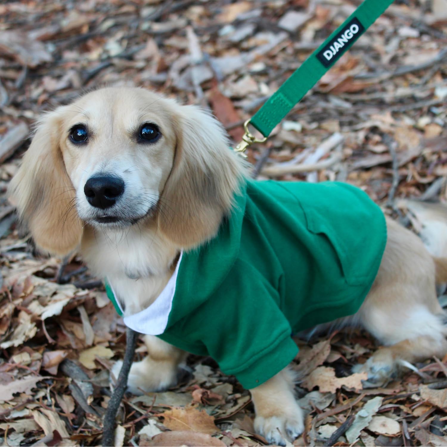 DJANGO Dog Hoodie – Warm Winter Dog Sweater & Fully Lined, Cozy Sweatshirt for Small & Medium Dogs, Dachshunds – Soft, Stretchy, Puppy Hoodie with Leash Portal, Elastic Waistband – Forest Green, Small