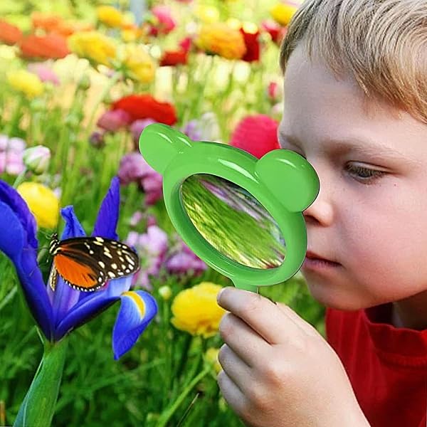 Toy Magnifying Glass,6-Pieces Magnifier Tool - Small Kid Magnifier - for School Students Learning Home Science Outdoor Observation Party Favor - 2