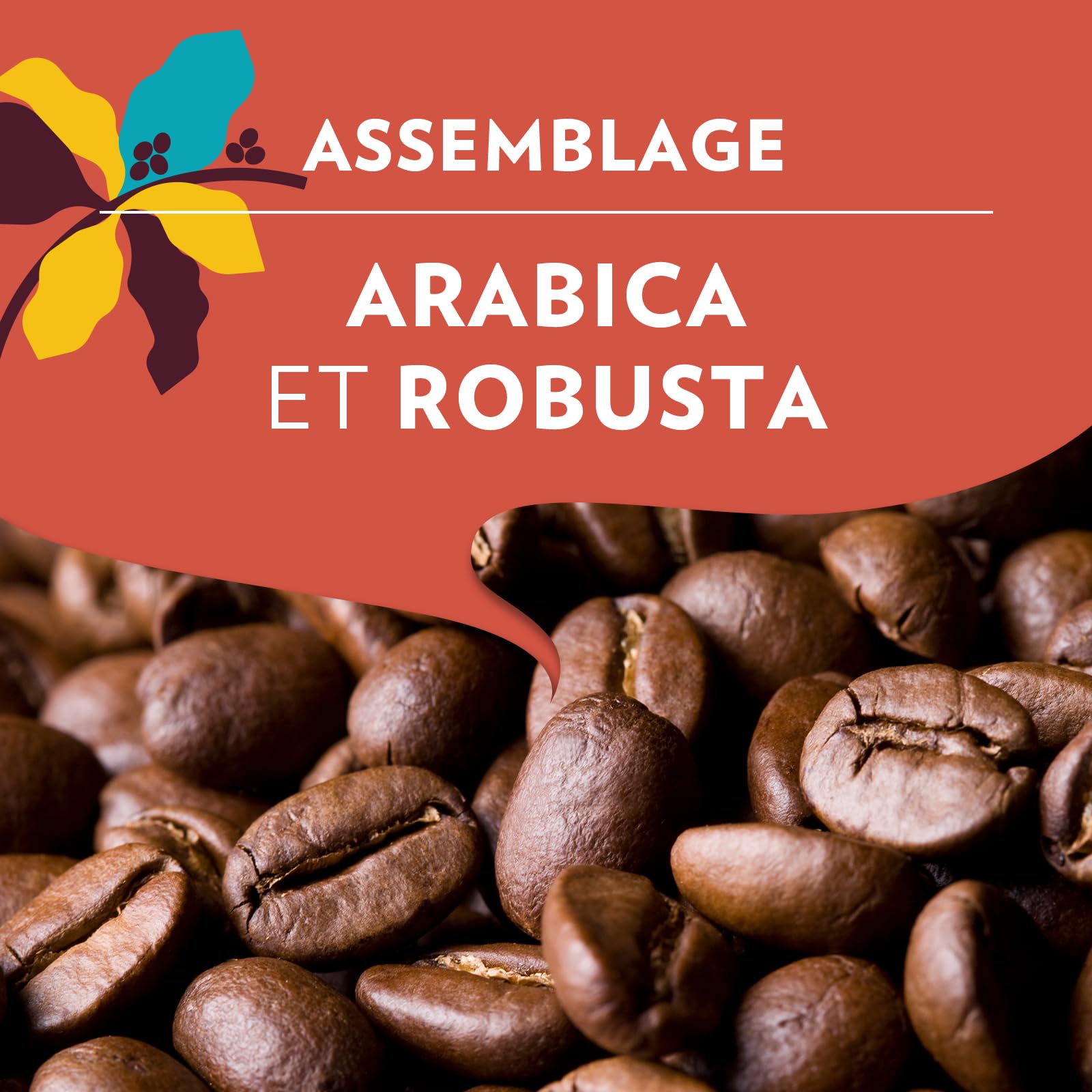 Lavazza, Tales of Napoli, Café en Grains, 450 g, pour les Machines à Café Automatiques, Notes de Cacao et de Caramel, Arabica et Robusta, Intensité 9/10, Torréfaction Foncée
