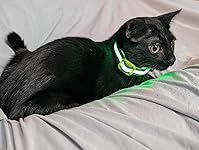 Review Image by Antonio a. Antonio a.