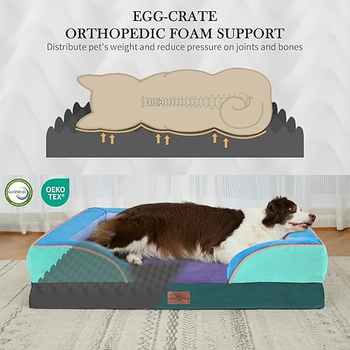 Miniatura 249 de Comfort Expression - Cama ortopédica para perros extragrandes, 53 x 42 pulgadas, cama impermeable y de apoyo de espuma con cojines removibles, con