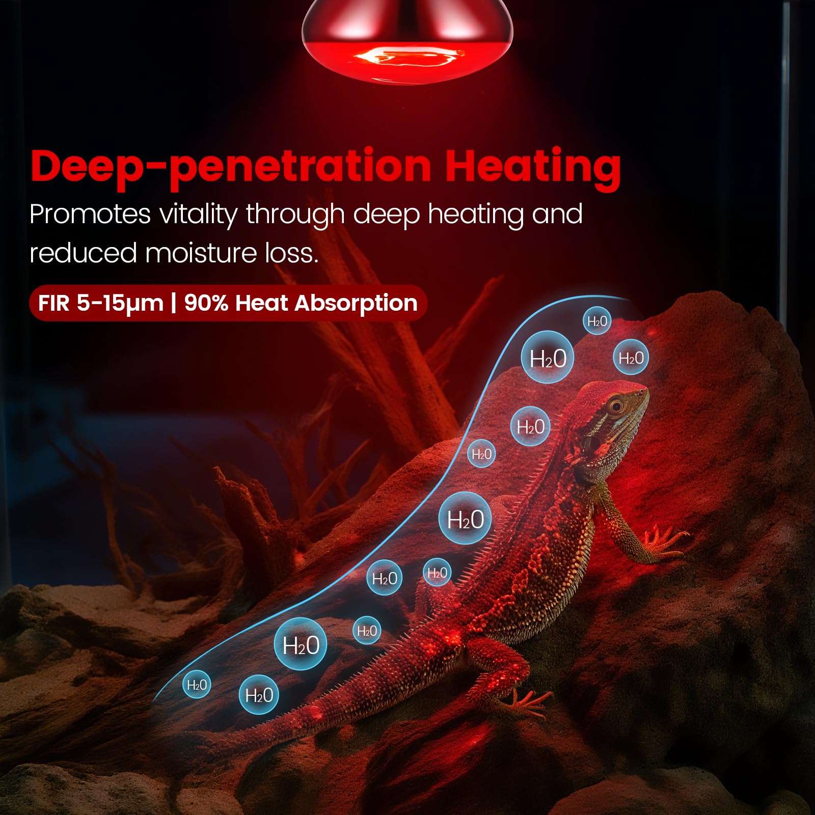 Dual Reptile Lamp Fixture with 100W Daytime Heat & 100W Nighttime Infrared Heat Bulbs, 2 Independent Switches, Reptile Heat Lamp Combo Pack - No UVB - image 7