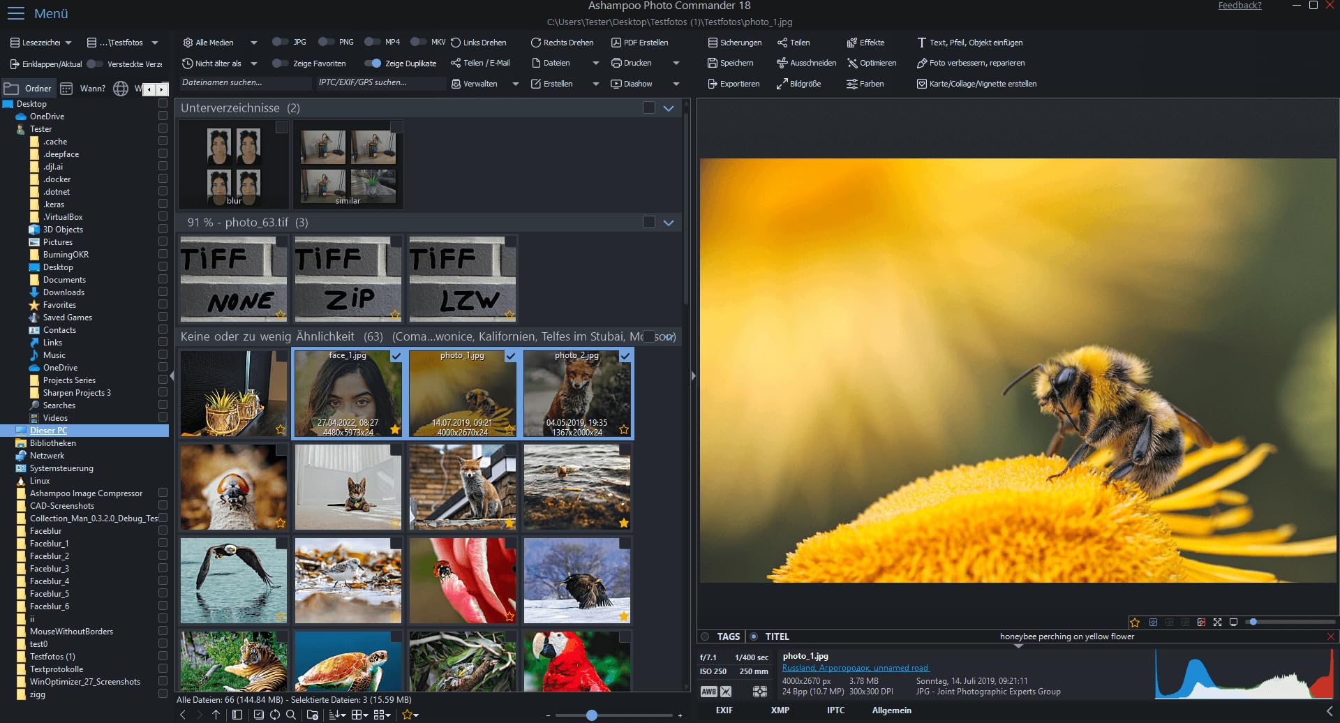 Photo Commander 18 - Bildbearbeitungsprogramm, Das Multitalent zum Betrachten, Bearbeiten und Organisieren Deiner Fotos, umfangreiche Funktionen, einfach zu bedienen im Fotobearbeitungsprogramm