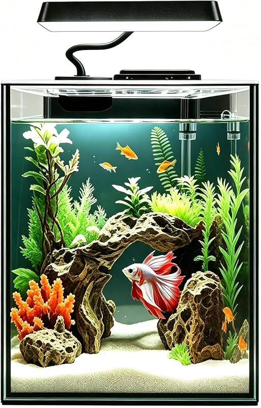 Glass Betta Aquarium Starter Kits 1.5 Gallon Small Fish Tank, Betta Fish Tank with LED Light, Power Filter, Black. 4mm Glass