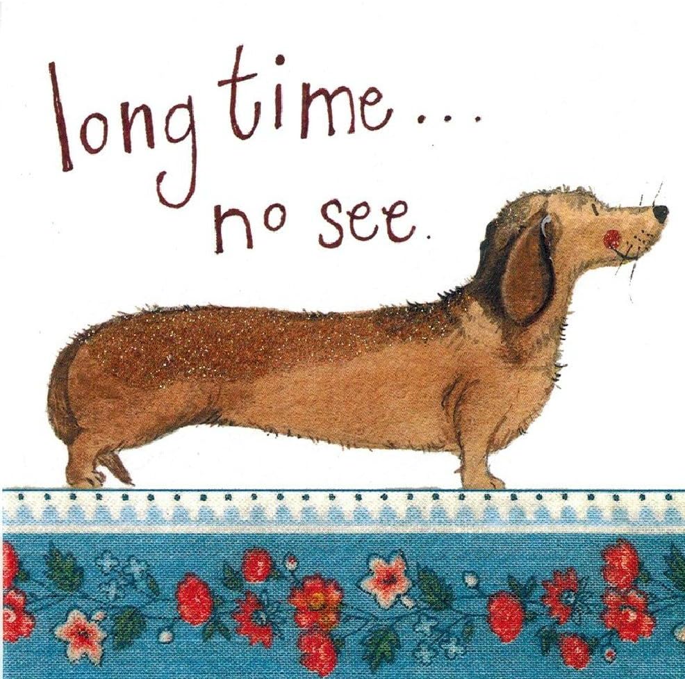 Dachshund Note Card Set of 6 Cards