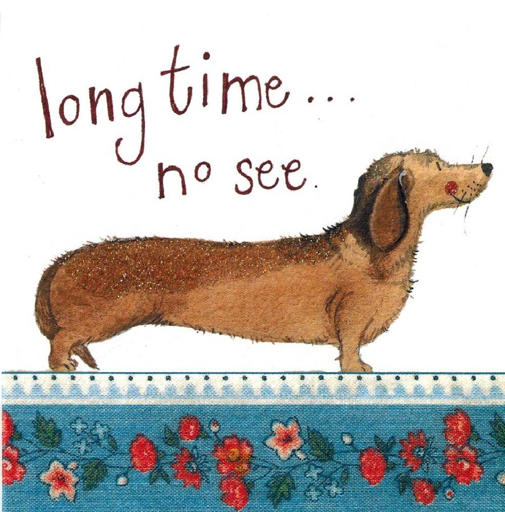 Dachshund Note Card Set of 6 Cards