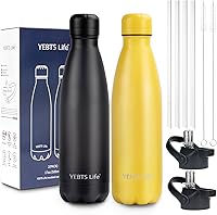 Vista 32 de Botella de Agua Aislada, Paquete de 2-17oz Botellas de Agua de Acero Inoxidable con Tapa de Pajita, Botellas de Agua Deportivas de Metal para Niños