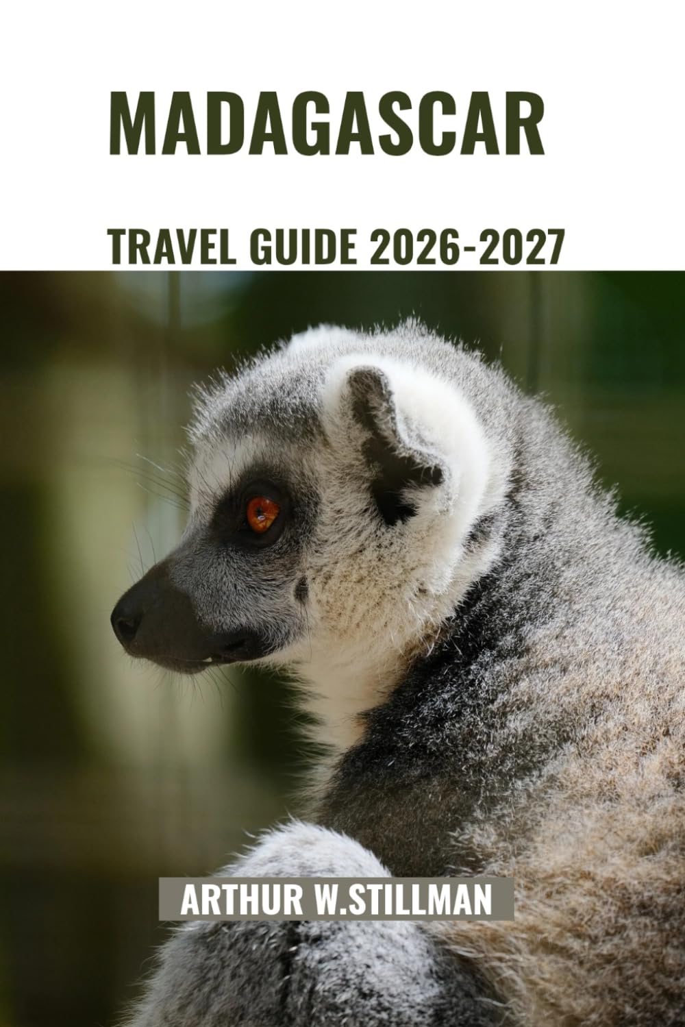 Madagascar Travel Guide 2026-2027