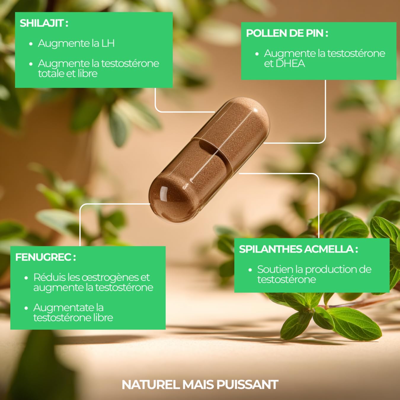 Complexe booster de testostérone naturel - Complément alimentaire