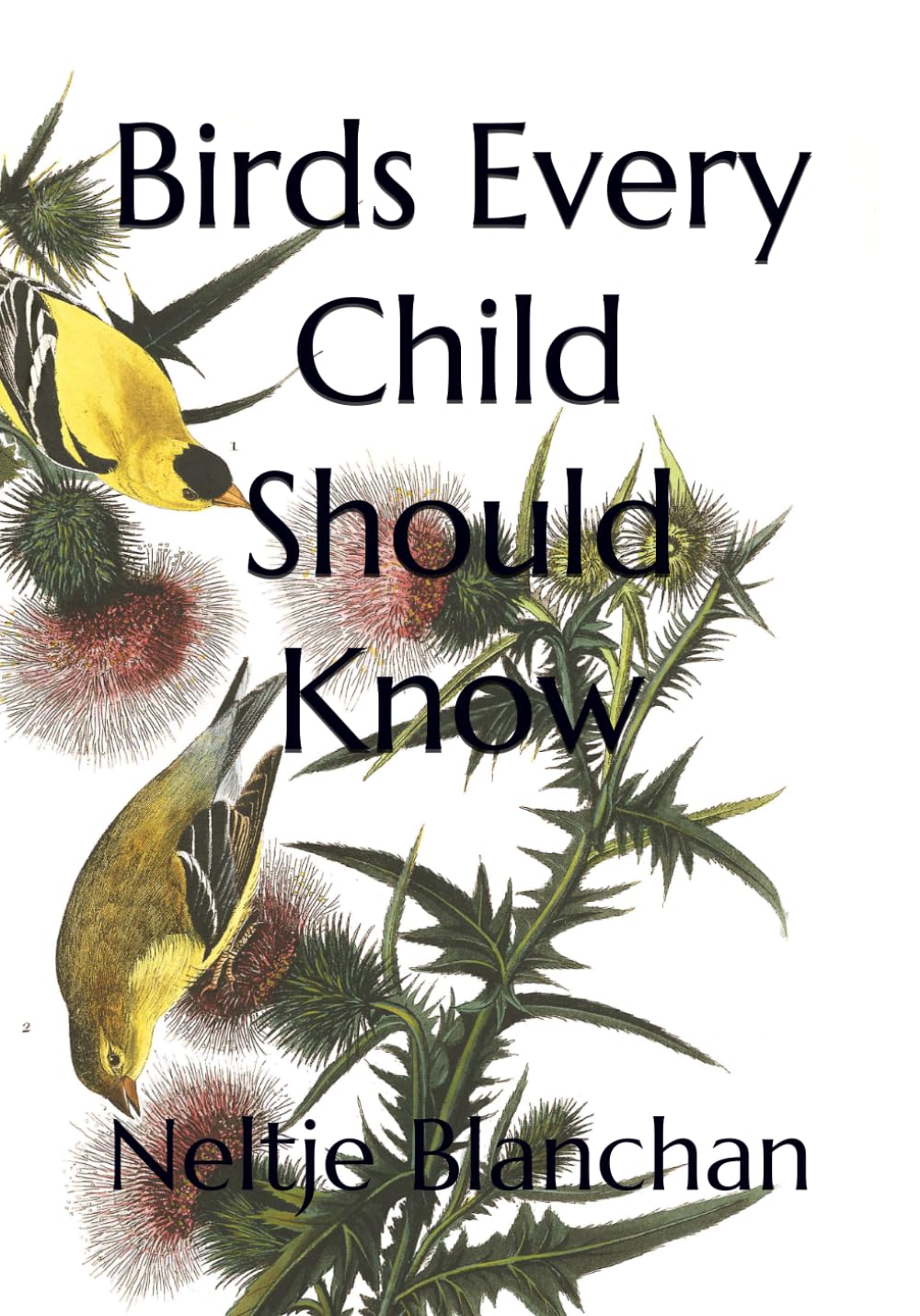Birds Every Child Should Know