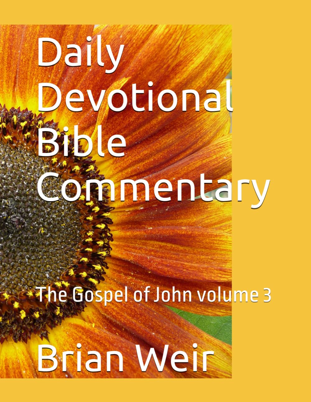 Daily Devotional Bible Commentary: The Gospel of John volume 3