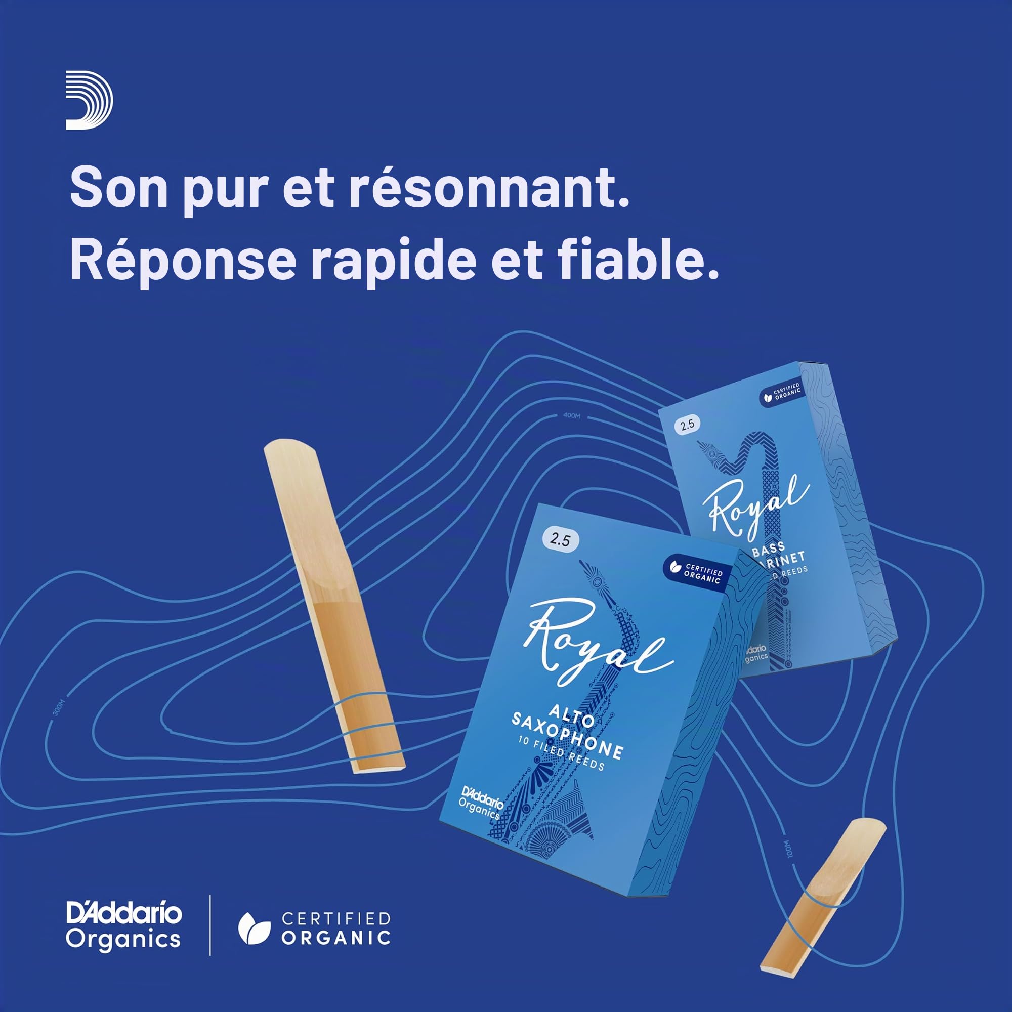 Rico Anches Rico Royal pour clarinette si bémol, force 2.5, pack de 10