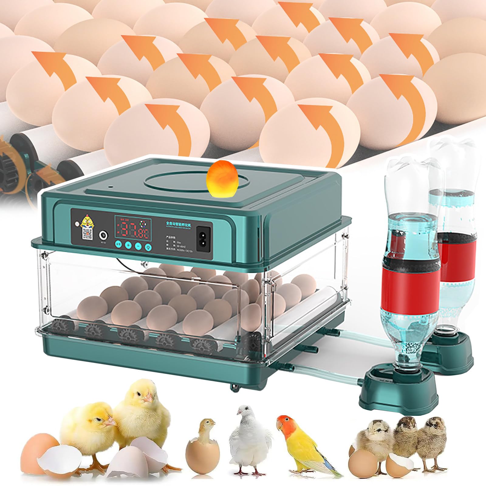12-130 Inkubator, MałY Inkubator Domowy, Automatyczne Obracanie Jaj/Regulacja Temperatury, Regulacja OdstęPu, 2 Zasilacze, Dla Kur, Kaczek, GęSi, Drobiu,24