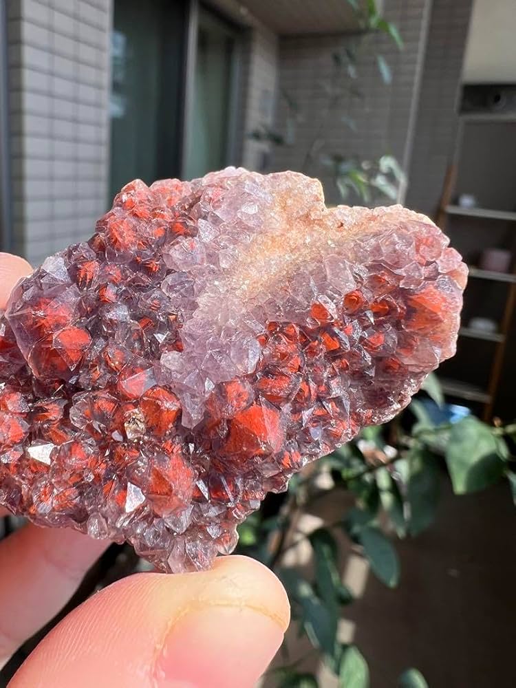 Amazon.co.jp: マダガスカル産 幻影水晶 レッドファントム クォーツ 赤