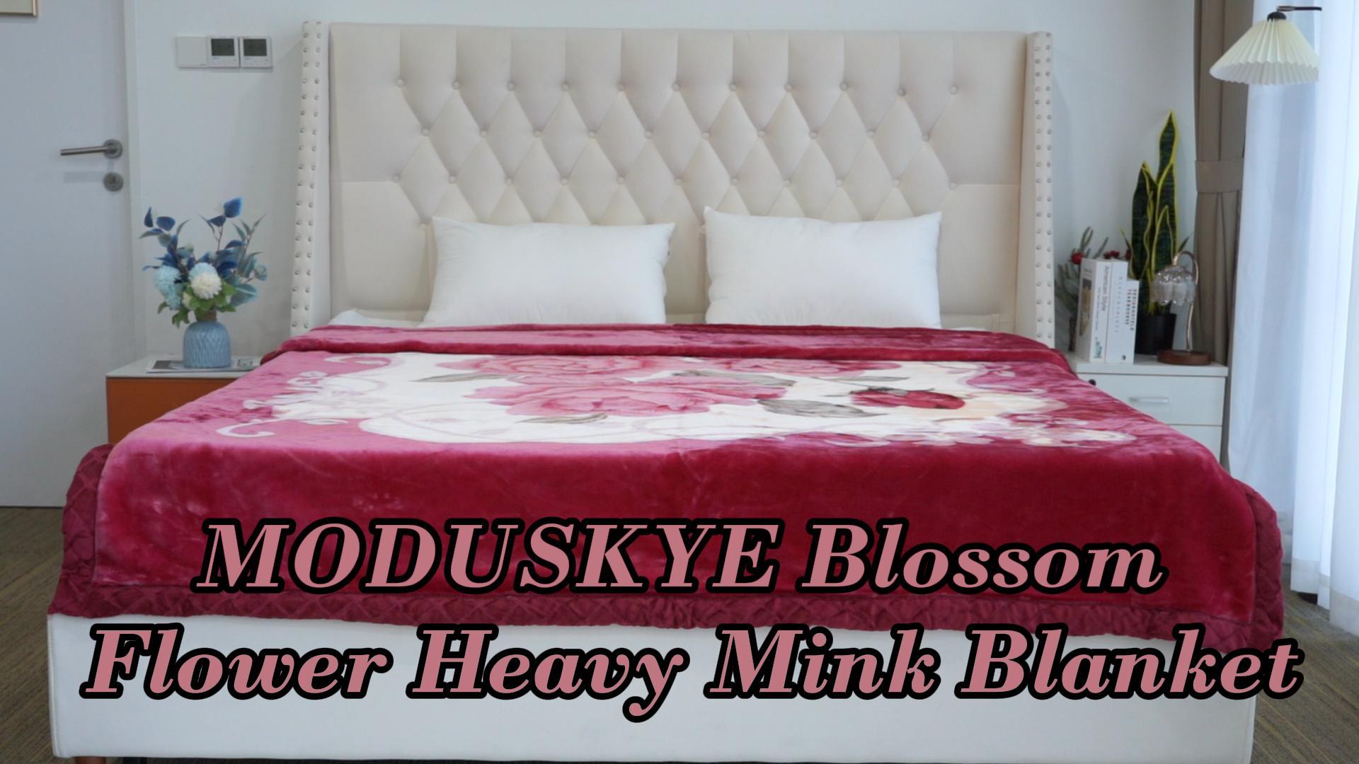 Amazon.com: MODUSKYE Heavy Korean Mink Blanket, 5.5LB