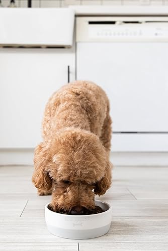 Miniatura 11 de Pearhead Ceramic Bone Appétit - Cuenco para perros, capacidad para 2 tazas, plato de gres para alimentos y agua, comedero para mascotas gris y Tarro