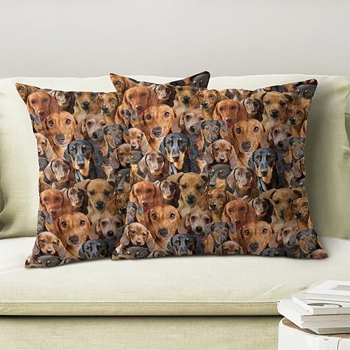 Miniatura 9 de 2 fundas de cojín con diseño de perro Sheltie, con temática de raza de perro, para sofá, cama, decoración del hogar, regalos conmemorativos de