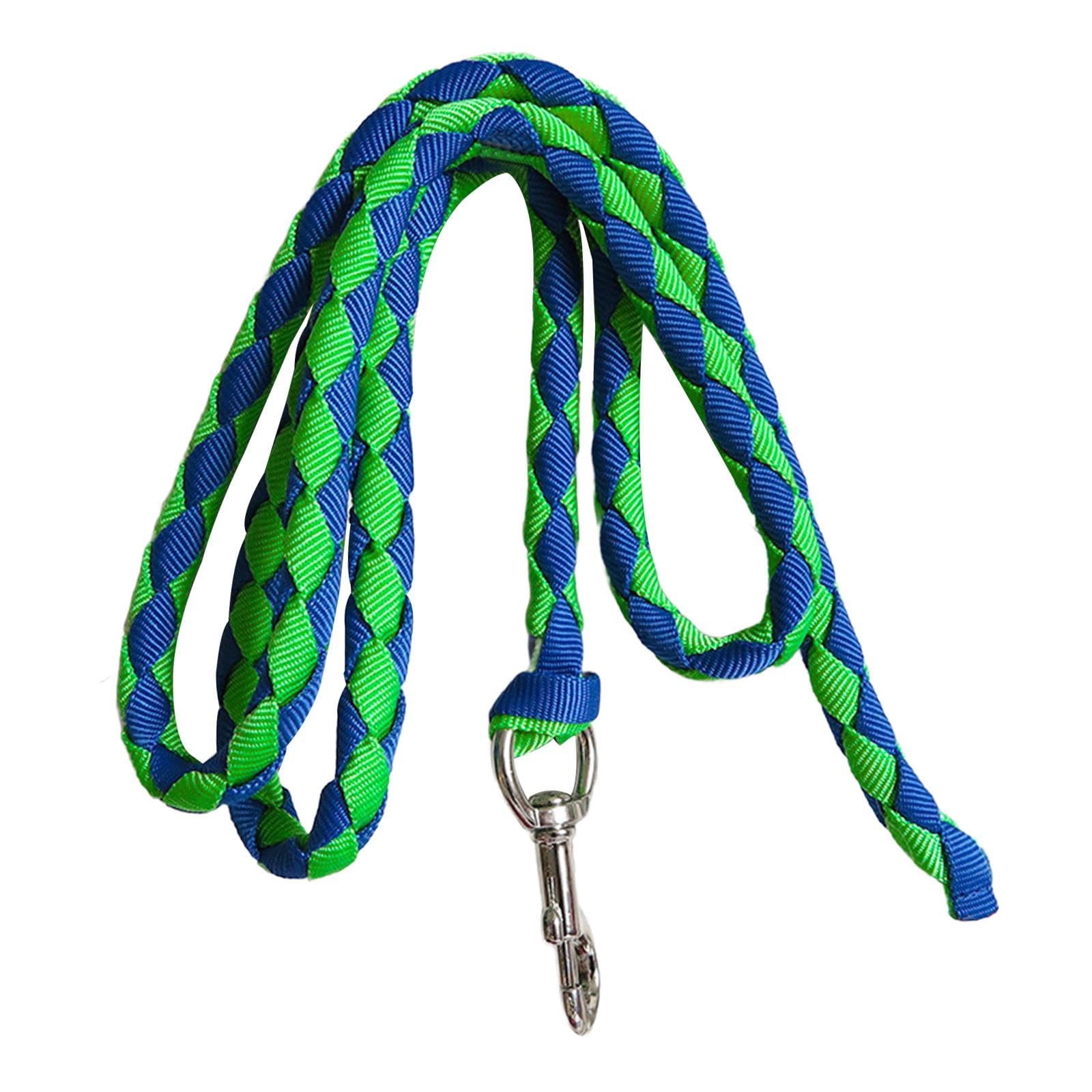 Corda per Cavallo con Attacco a Clip Sicuro, 2.5 m Verde e Blu
