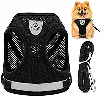 Guia Coleira Peitoral para Cachorro/cães e Gatos Pet Colete Refletivo Tam P Anti puxão – Ideal para Filhotes, Spitz Alemão, Lulu da pomerânica, Pinscher, Shi Tzu (preto)