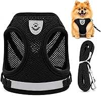 Guia Coleira Peitoral para Cachorro/cães e Gatos Pet Colete Refletivo Tam P Anti puxão – Ideal para Filhotes, Spitz Alemão, Lulu da pomerânica, Pinscher, Shi Tzu (preto)