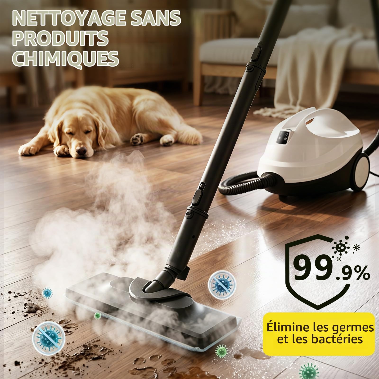 Nettoyeur à Vapeur, Machine à Vapeur Avec 21 Accessoires