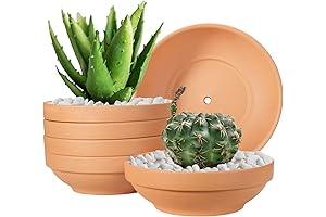 Terra Cotta Pots: Laergin 6.43" Shallow Clay Pots with Drainage for Indoor...