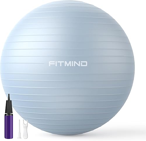 Miniatura 8 de FITMIND_ Extra Thick Exercise Ball Yoga Ball 22in/26in/30in for Workout Pregnancy Stability,Anti-Burst and Slip Resistant Swiss Ball with Pump for