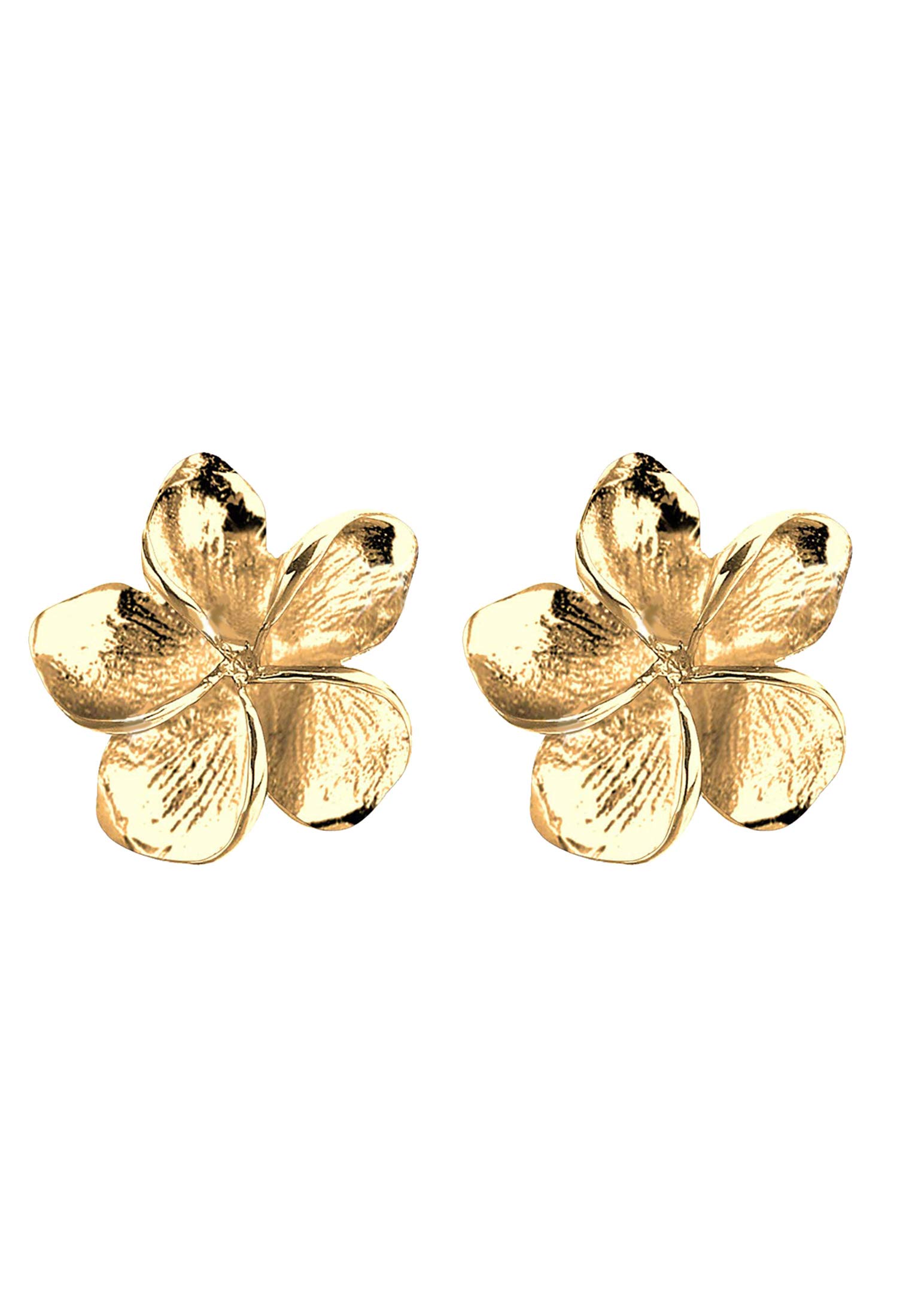 Elli Damen-Ohrringe, Frangipani-Blume, Natur, filigran, aus Sterling-Silber 925