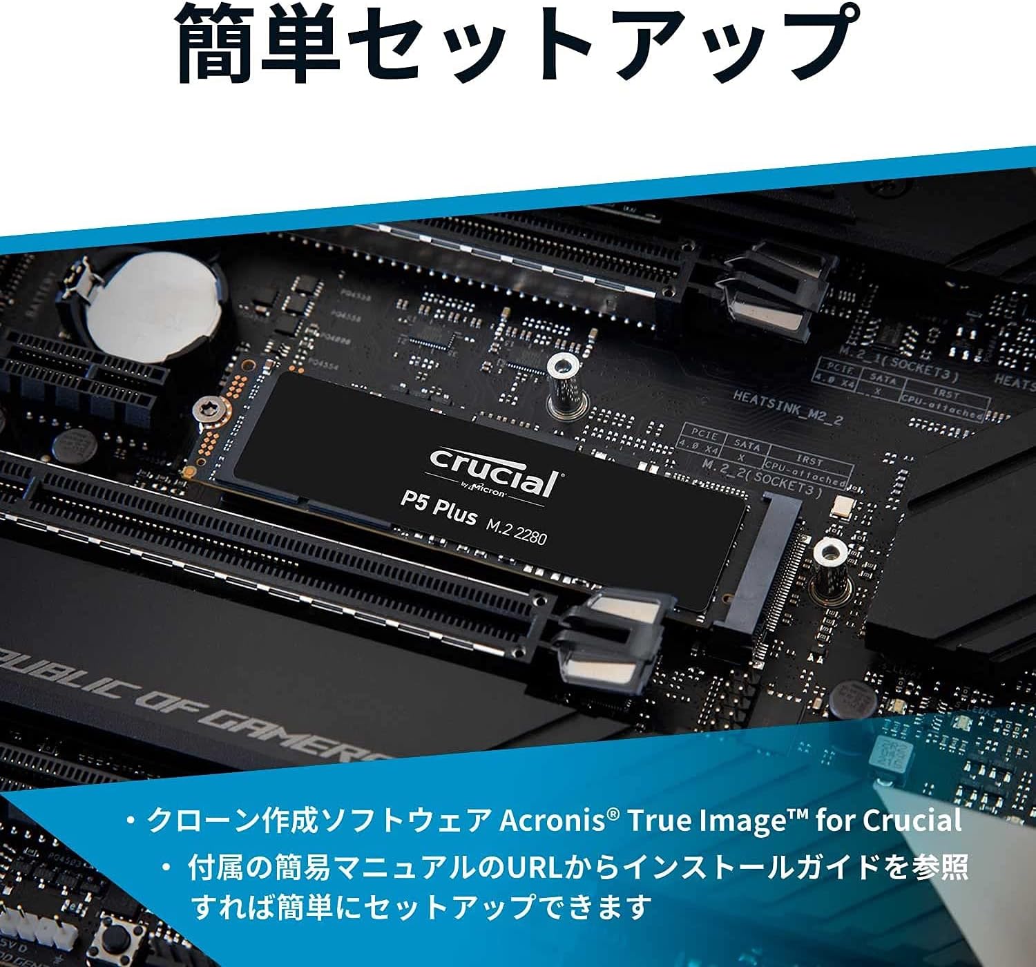 売れ筋商品 新品 Crucial P5 Plus 1TB CT1000P5PSSD8JP fawe.org