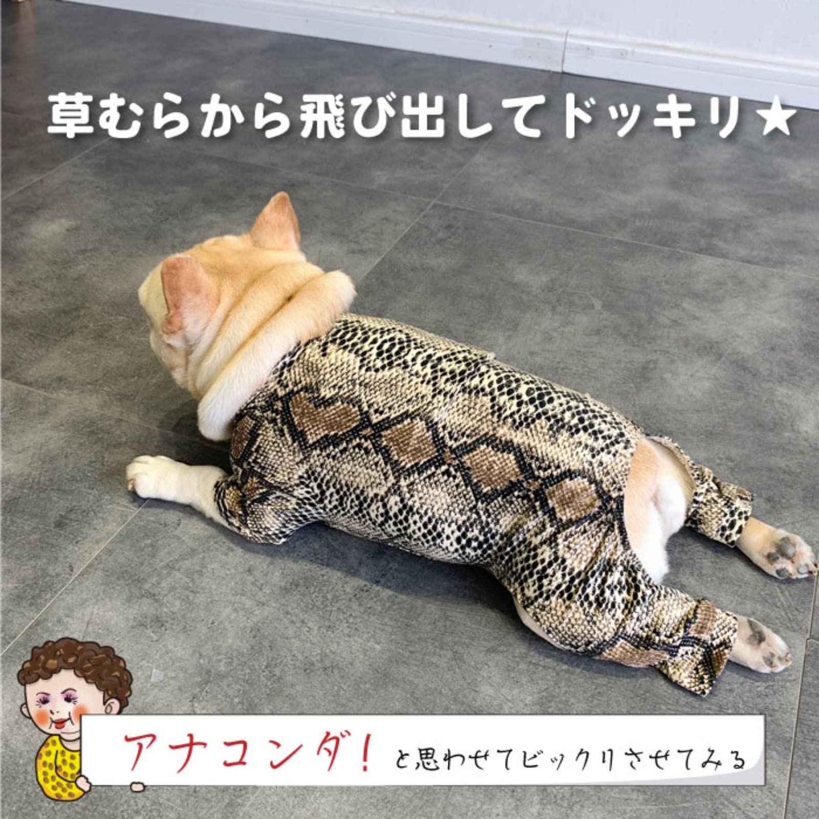 Amazon.co.jp: フレンチブルドッグ ペット おもしろ 犬 服 ロンパース
