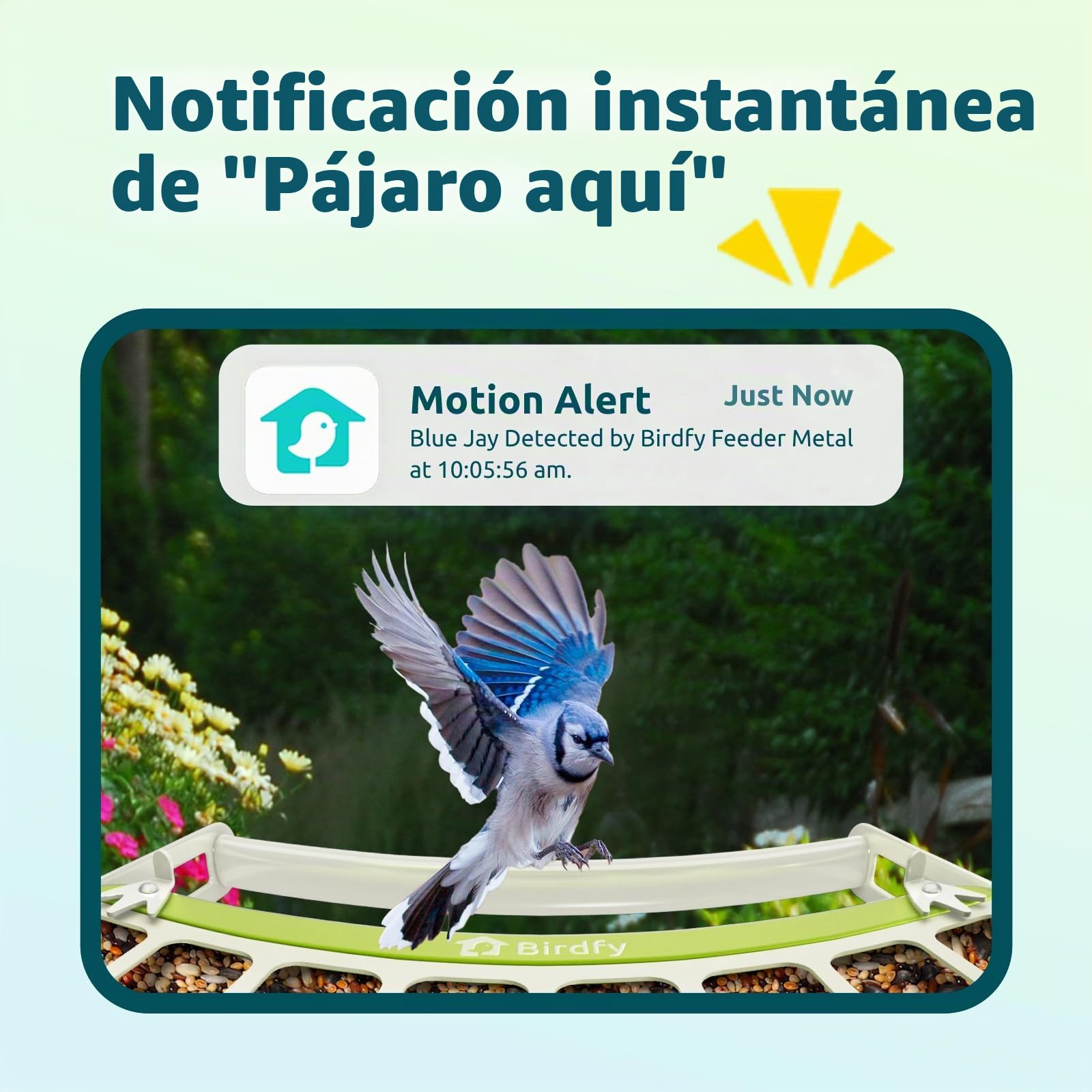 Birdfy Metal Comederos para Pajaros con Camara para Observación de Aves en Vivo, 1080P inalámbrico Bird Feeder con Visión Nocturna en Color, Notificaciones en Tiempo Real, Grabación Automática