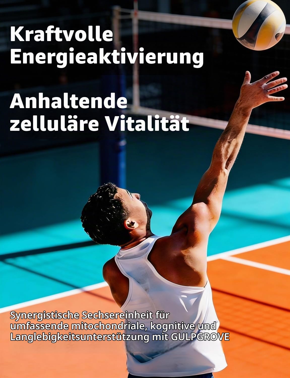 Urolithin A, 6-in-1 Formel für zelluläre Energie-2000MG