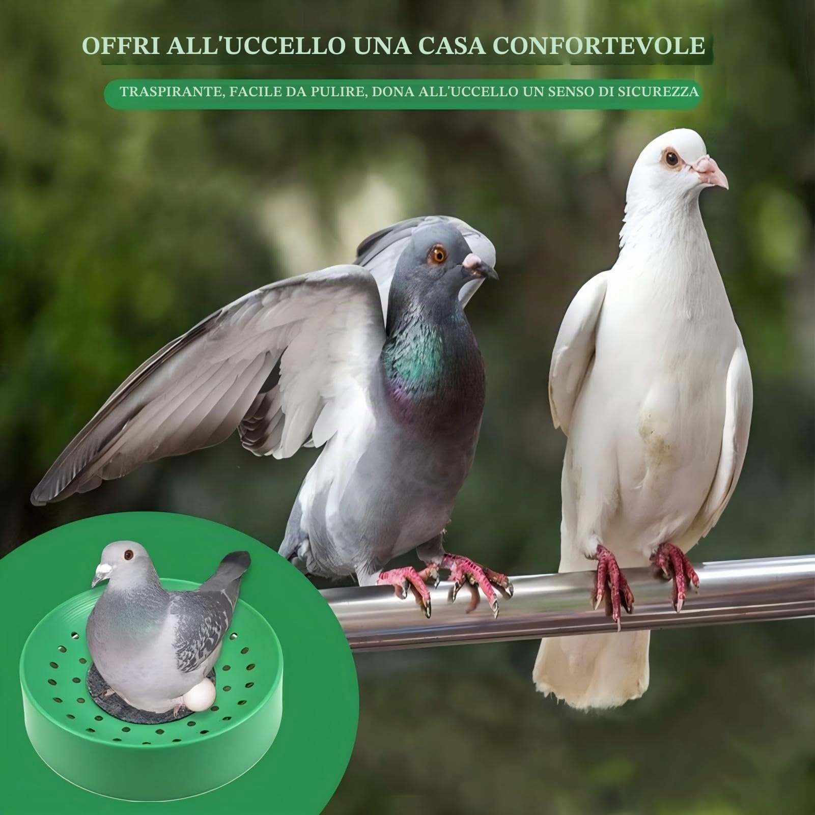 Nidi di Uccelli in Plastica da 5 Pezzi Ciotola Per Nidificazione Per Uccelli Ciotola Per Allevamento di Uova di Uccelli Traspirante Nido Per Allevamento di Piccioni con Tappetino Per Piccioni Colombe