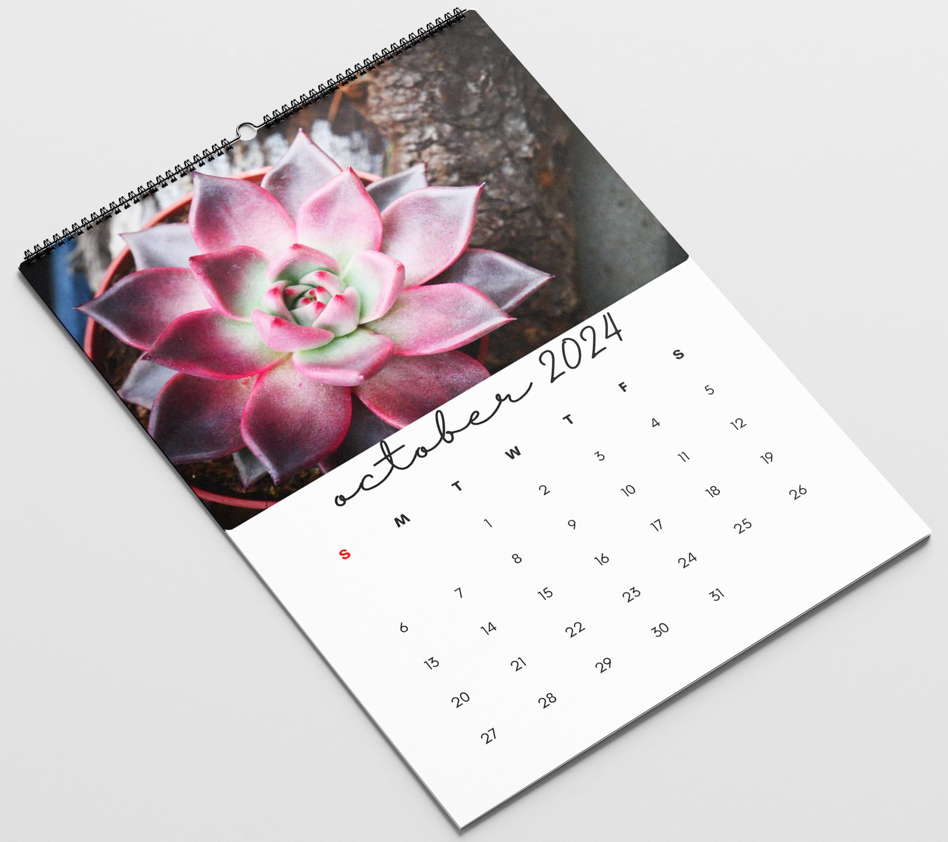 2024 Green Succulents wall Calendar, Plants Calendar, Cactus Calendar, 2024  Wall hanging Calendar. 2024 Planner Calendar for Home & Office, New Year  Gifts 2024 (12x18 inches) : Amazon.in: Office Products