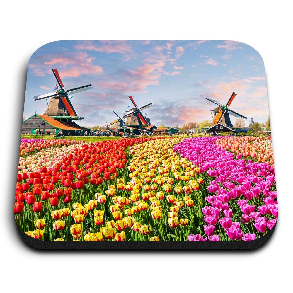 Destination Vinyl Ltd Multicolor 1 X Square Mdf Fridge Magnet - Tulips Netherlands Flowers 2307