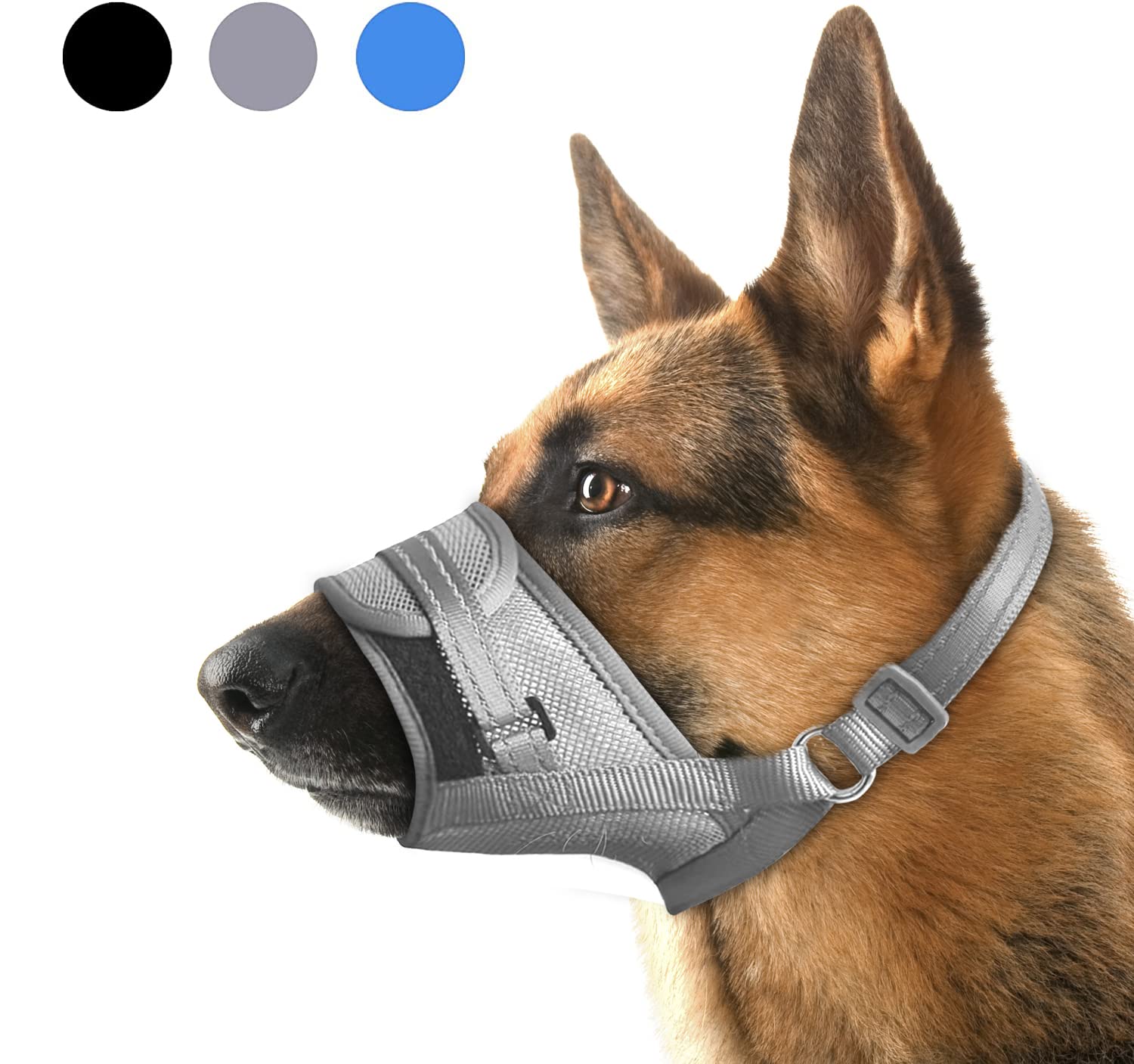 banfield pet hospital ikea blvd