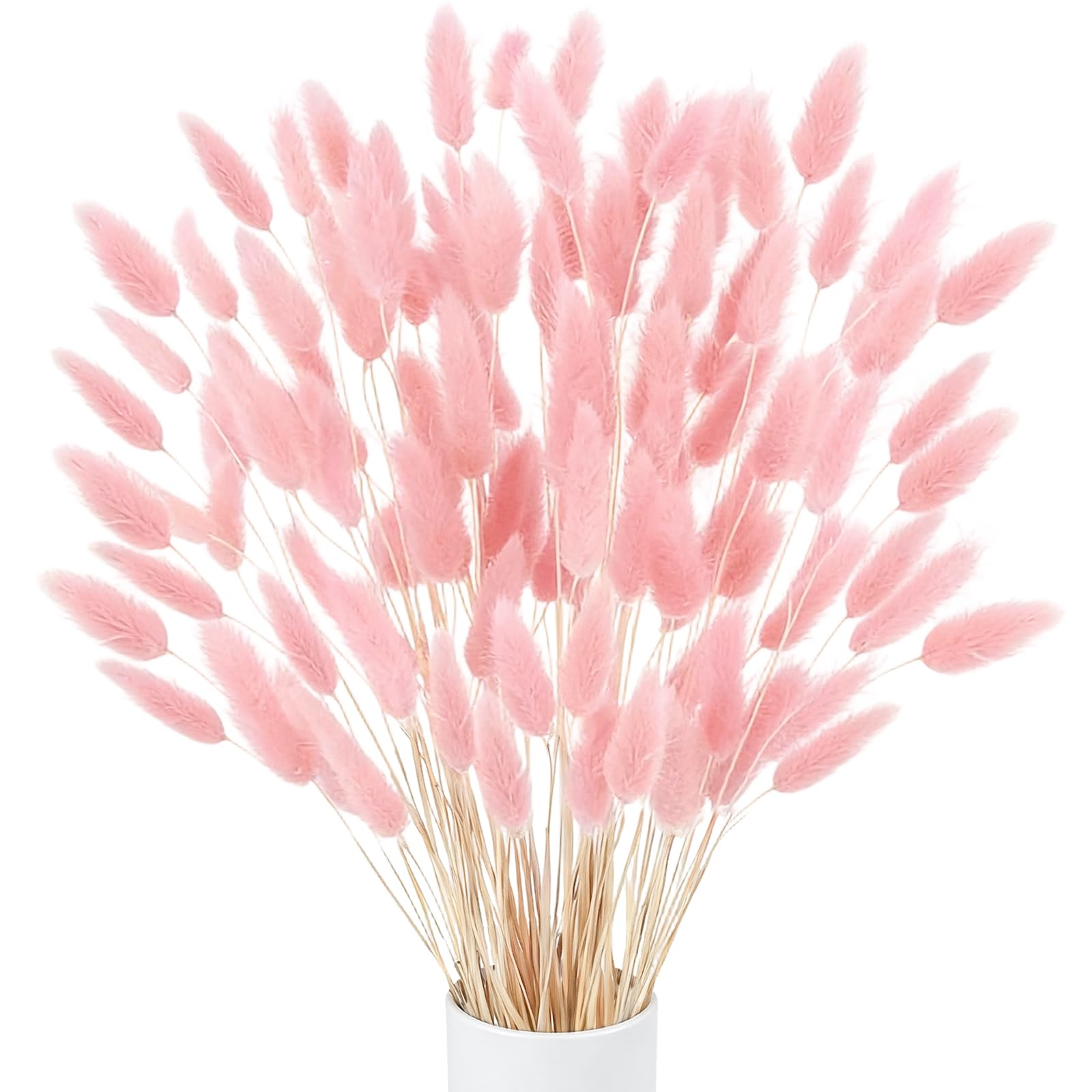120 Pcs Natürliche Trockenblumen Pampasgras Getrocknet Blumen Klein Pampas Gras Pampasgras Trockenblumen Schilfgras für Hochzeit Hause Party Wedding Büro Fotografie Vase Deko Rosa