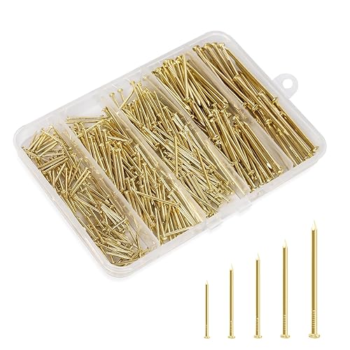 5 Sizes Hardware Nails Assortment Kit, Common Nails for Picture Hanging, Wall Nails, Wood Nails with Storage Box, Gold, 400PCS - Gold