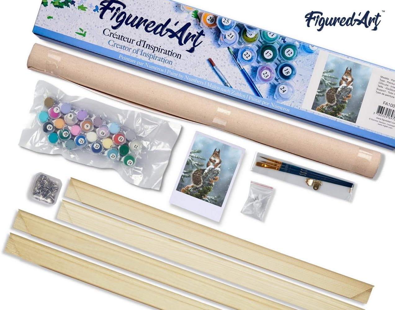 Figured'Art Paint by Numbers Kit for Adults Perched Squirrel 16"x20" - Craft Art Painting Rolled Canvas with DIY Wooden Frame